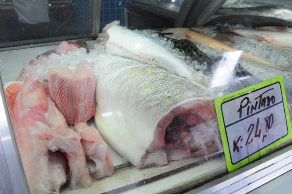 Carne branca: Tradição cristã faz com que fiéis troquem a carne vermelha pelo peixe na Semana Santa