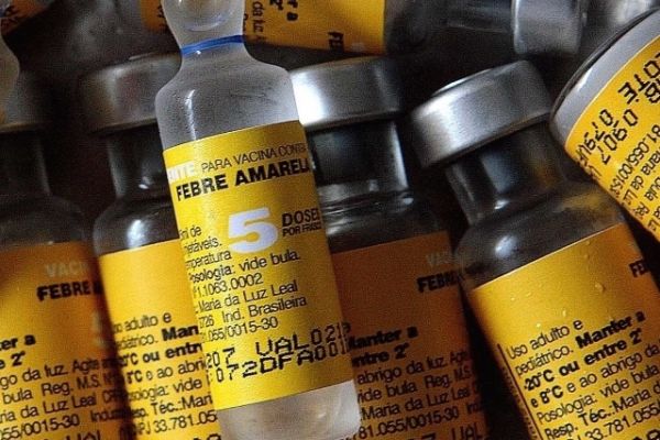 Defesa: Prefeitura de Barra Mansa monta bloqueio de vacinas contra a febre amarela