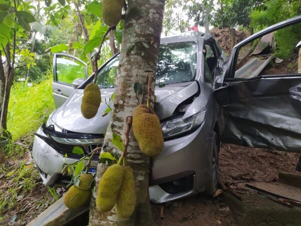 Carro bate em árvore após cair em ribanceira em Barra Mansa Diário do