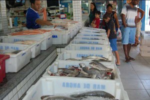 Lucro: Donos de peixarias já sentem um aumento na procura por peixes desde a última quarta-feira (Foto: Thais Fraga)