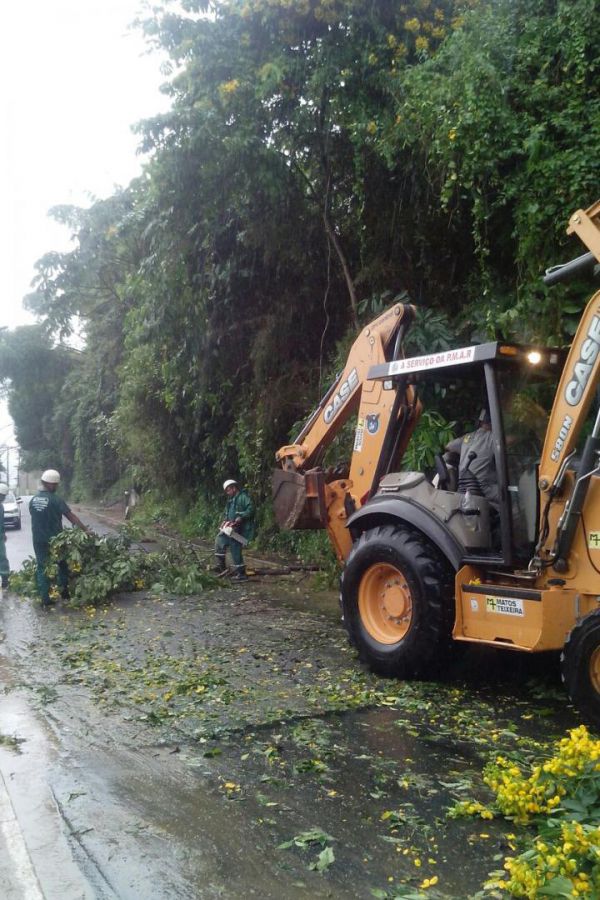 Queda de árvore prejudicou a Rio-Santos e Rodovia do Contorno