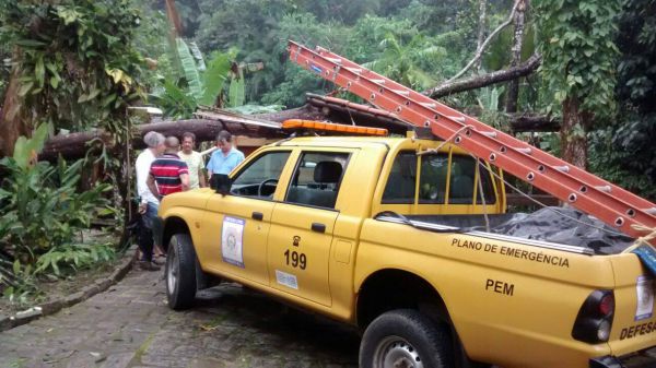 Defesa Civil e o prefeito Casé percorrem os locais onde árvores caíram (Foto: Cedida pela Prefeitura de Paraty)