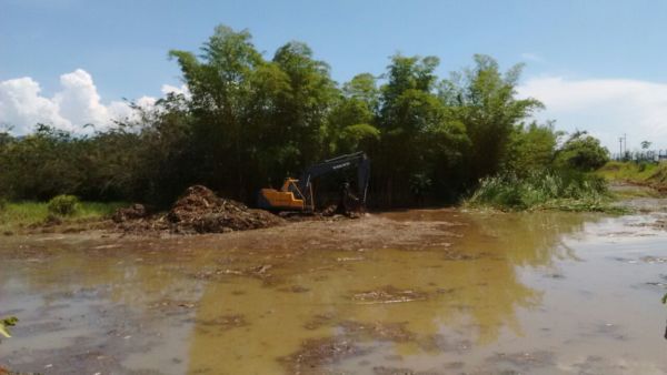 Meio Ambiente: Previsão é que os trabalhos de limpeza na Lagoa do Village terminem no fim deste mês (Foto: Divulgação PMPR)