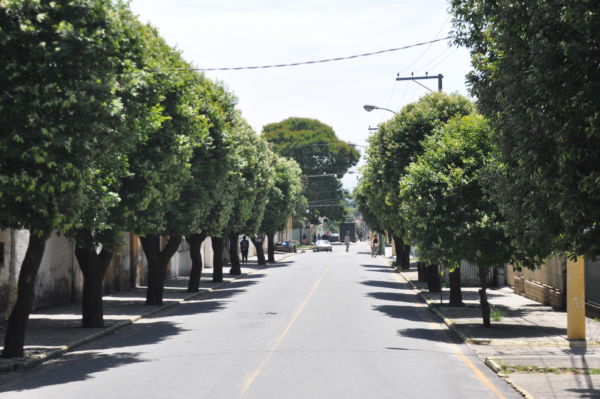 Cuidado com o ambiente: Corte e podas de árvores têm que obedecer uma série de critérios em Itatiaia (Foto: Divulgação)