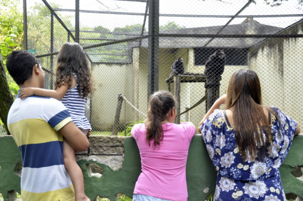 Visitas: Durante o verão o zoológico recebe um grande público devido às férias escolares (Foto: Geraldo Gonçalves/Secom)
