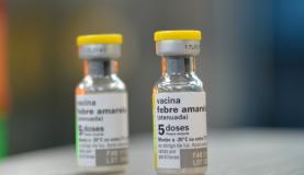Novo cronograma de vacinação contra febre amarela é divulgado - Arquivo