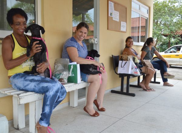 Castrações: Centro de Controle de Zoonoses realizou em 2018 mais de 560 castrações em cães de gatos, na maioria dos casos em animais fêmeas - Evandro Freitas – Secom/VR