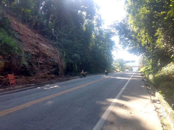 Perigo: Árvore tem risco de cair sobre trecho da Rio-Santos