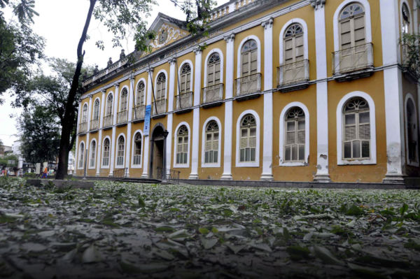 Cãobelereiro  Barra Mansa RJ