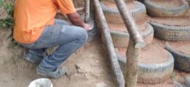 Viveiro de mudas do Parque do Ingá recebe melhorias em Volta Redonda